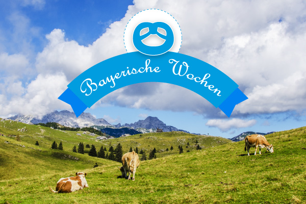 Saison im Stapelskotten